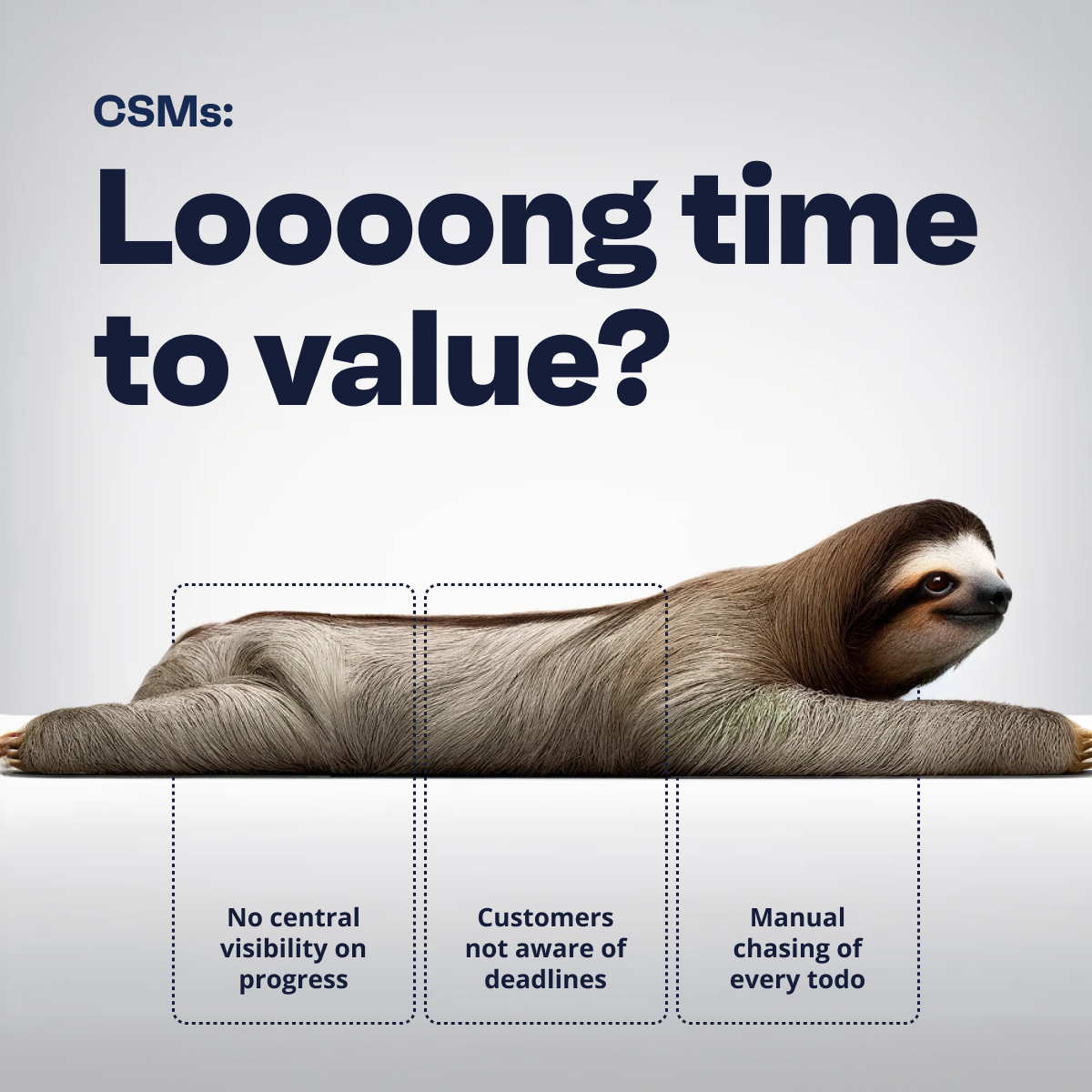 Valuecase ad showing a sloth lying flat on a gray background with the headline CSMs loooong time to value