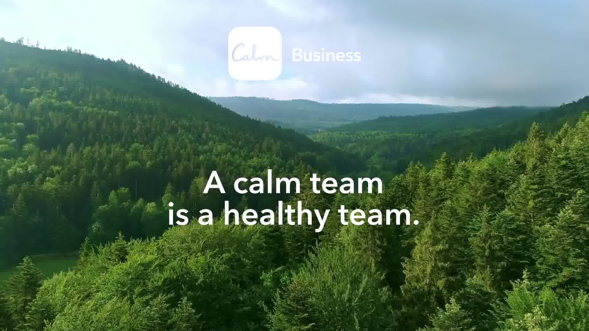 Facebook and Instagram ad by Calm positioning the app as more than an employee benefit