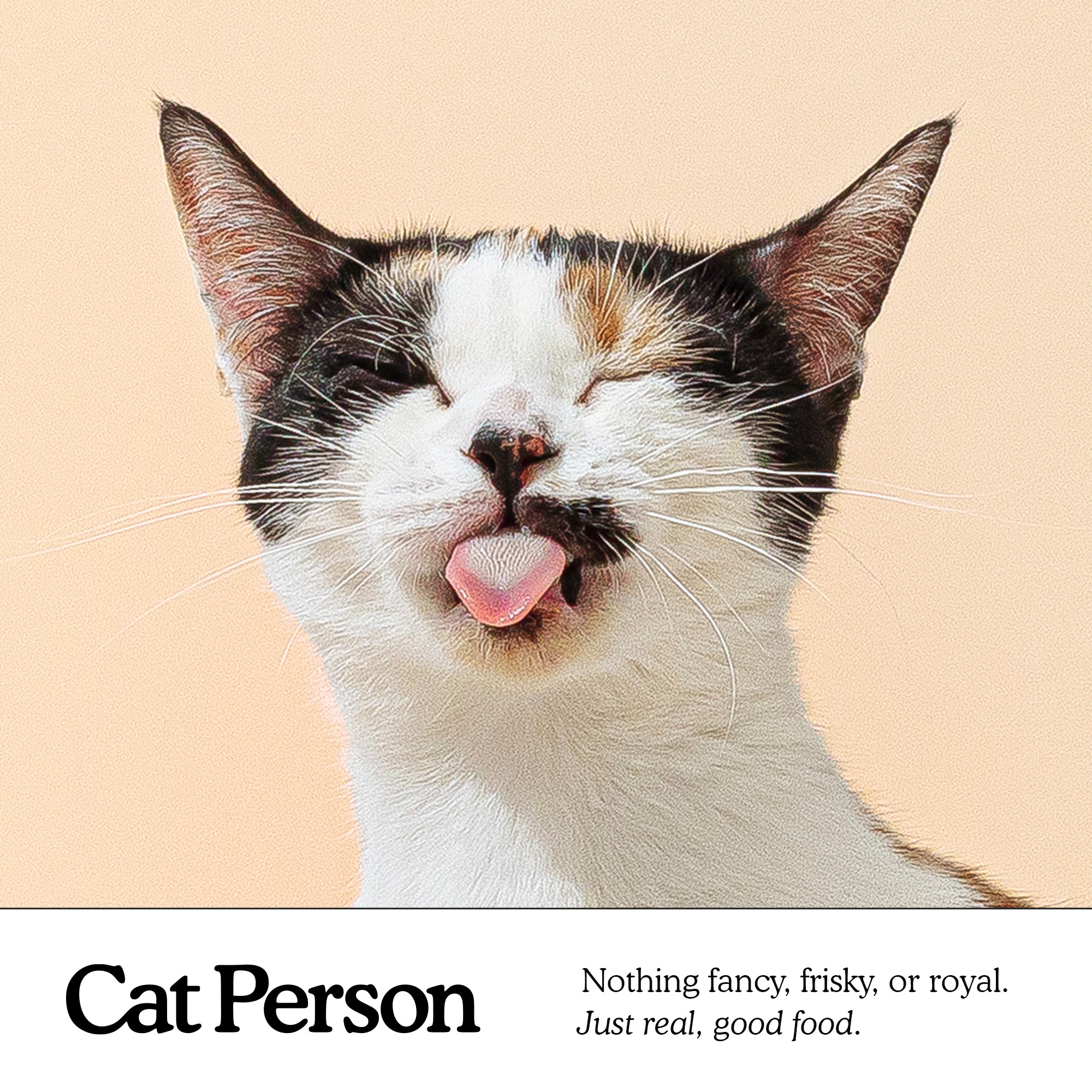 Facebook and Instagram ad by Cat Person on grain free cat food with more protein