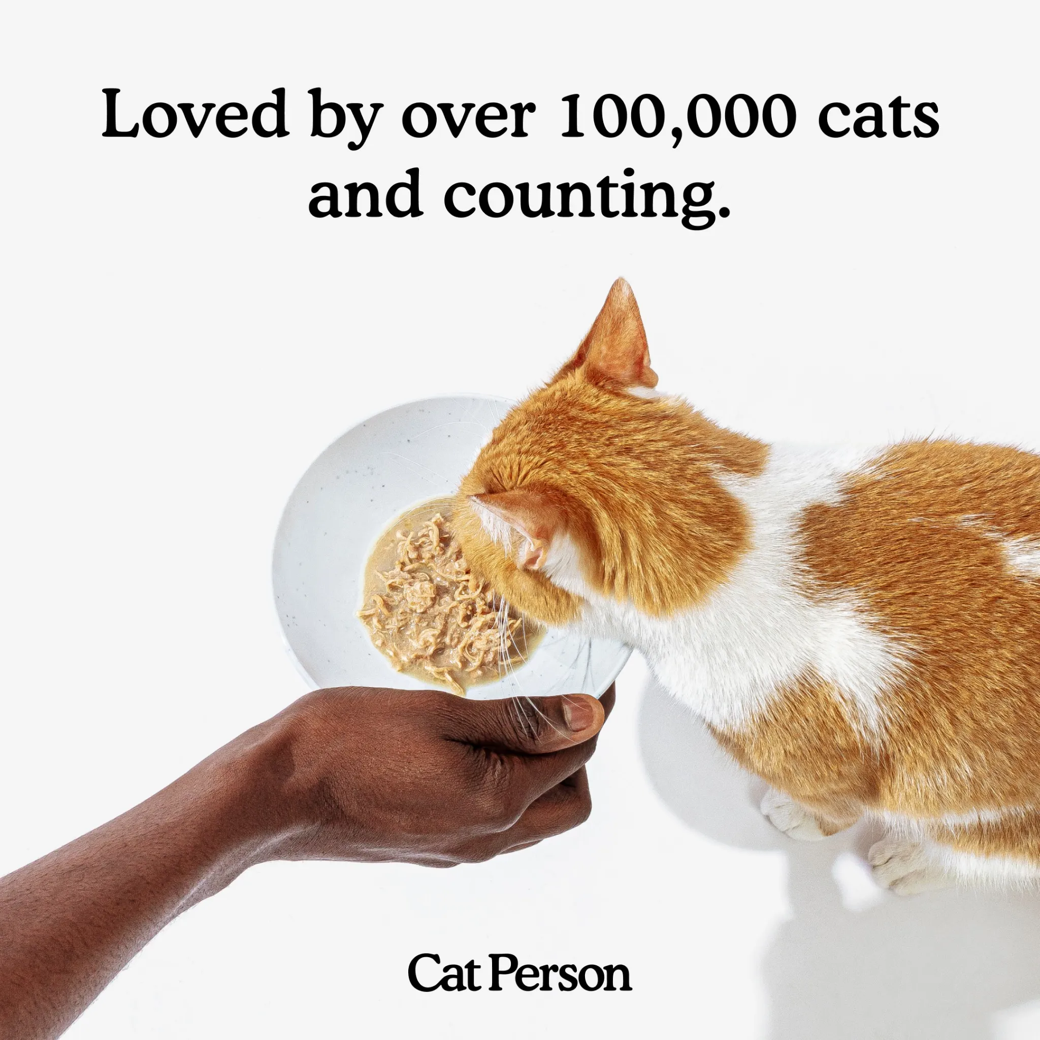 Facebook and Instagram ad by Cat Person on 19 protein packed cat food varieties