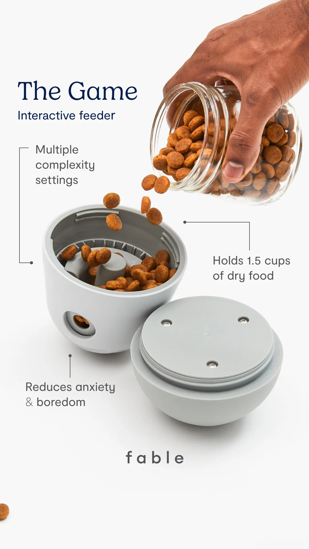 Ad by Fable presenting its design led pet furniture