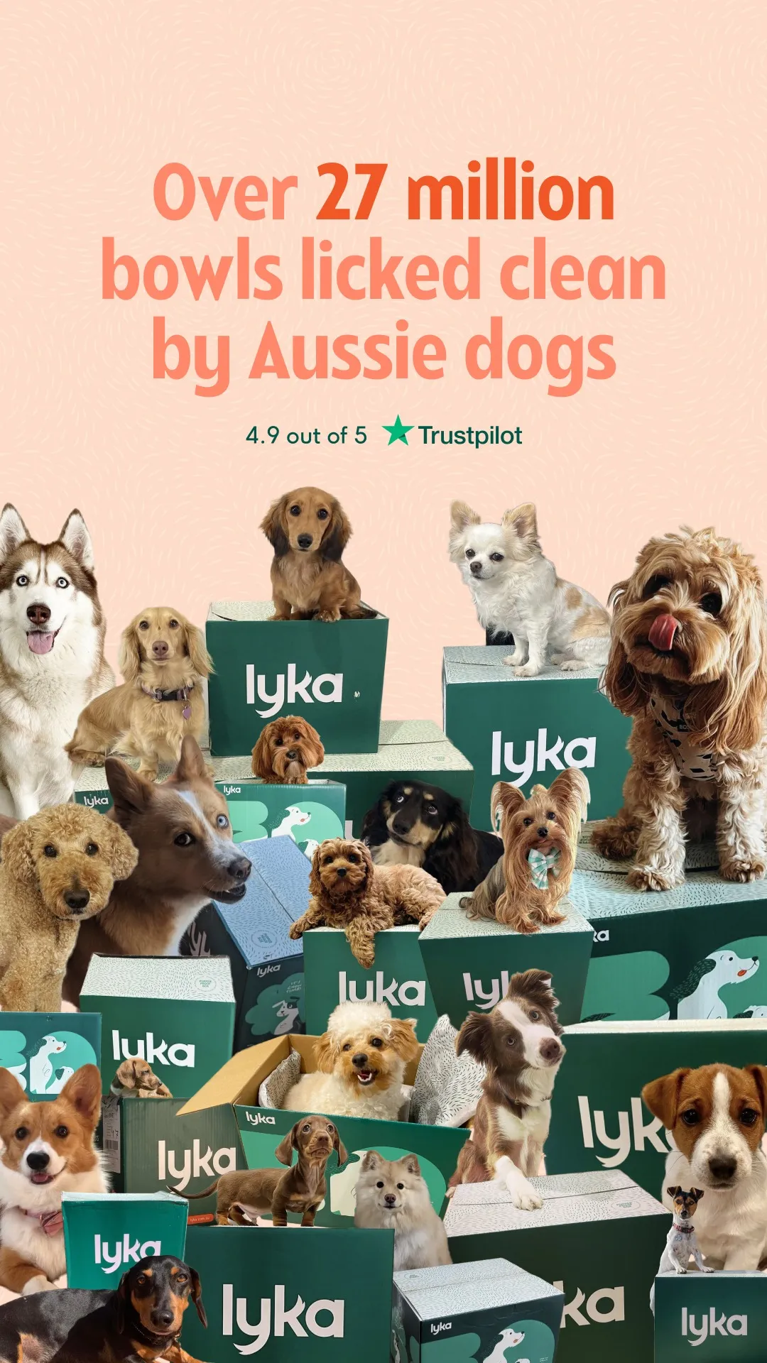 Facebook and Instagram ad by Lyka presenting its fresh dog meal plans