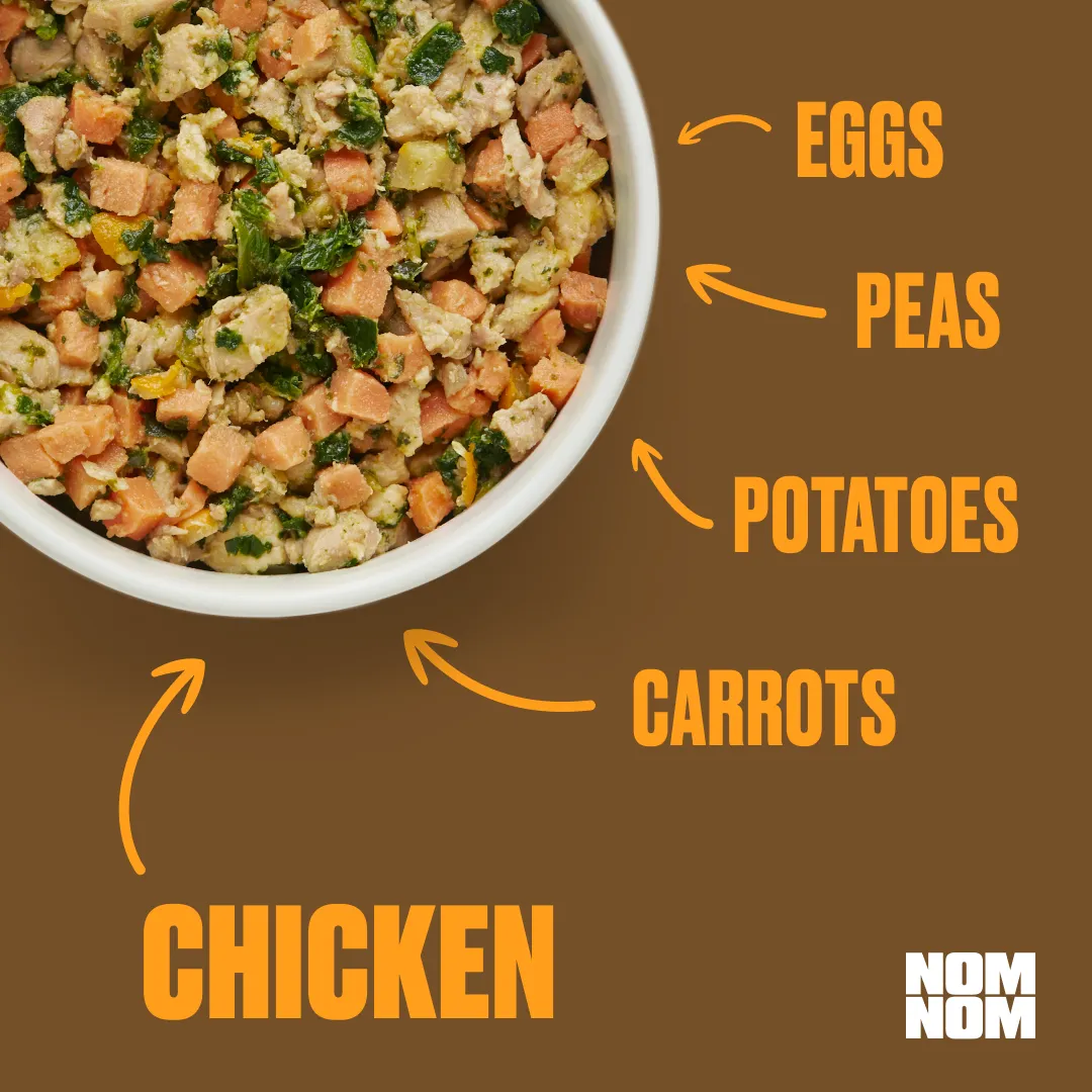 Facebook and Instagram ad by Nom Nom on fresh dog food tailored to each dog