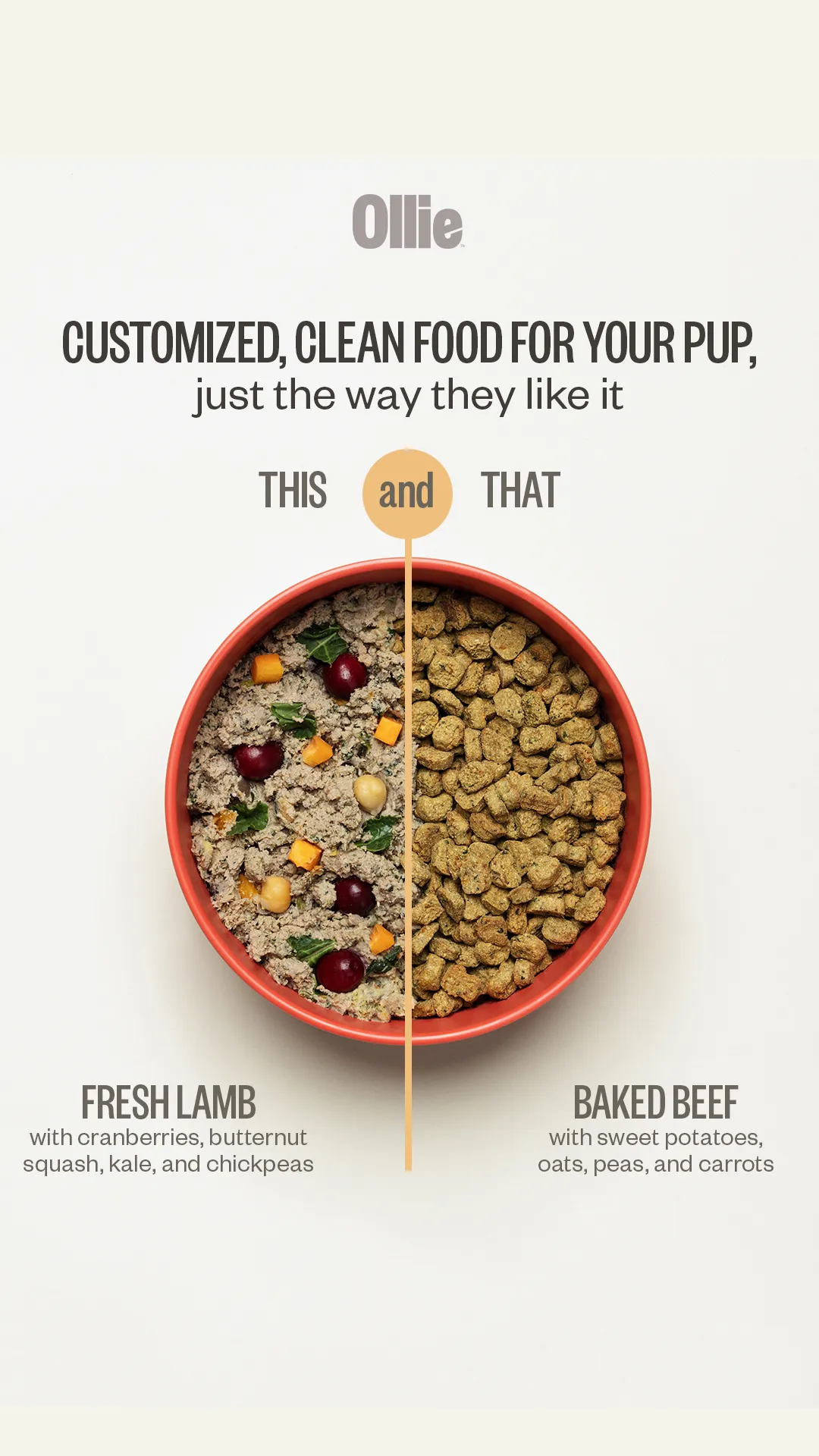 Ad by Ollie presenting its fresh dog food plans