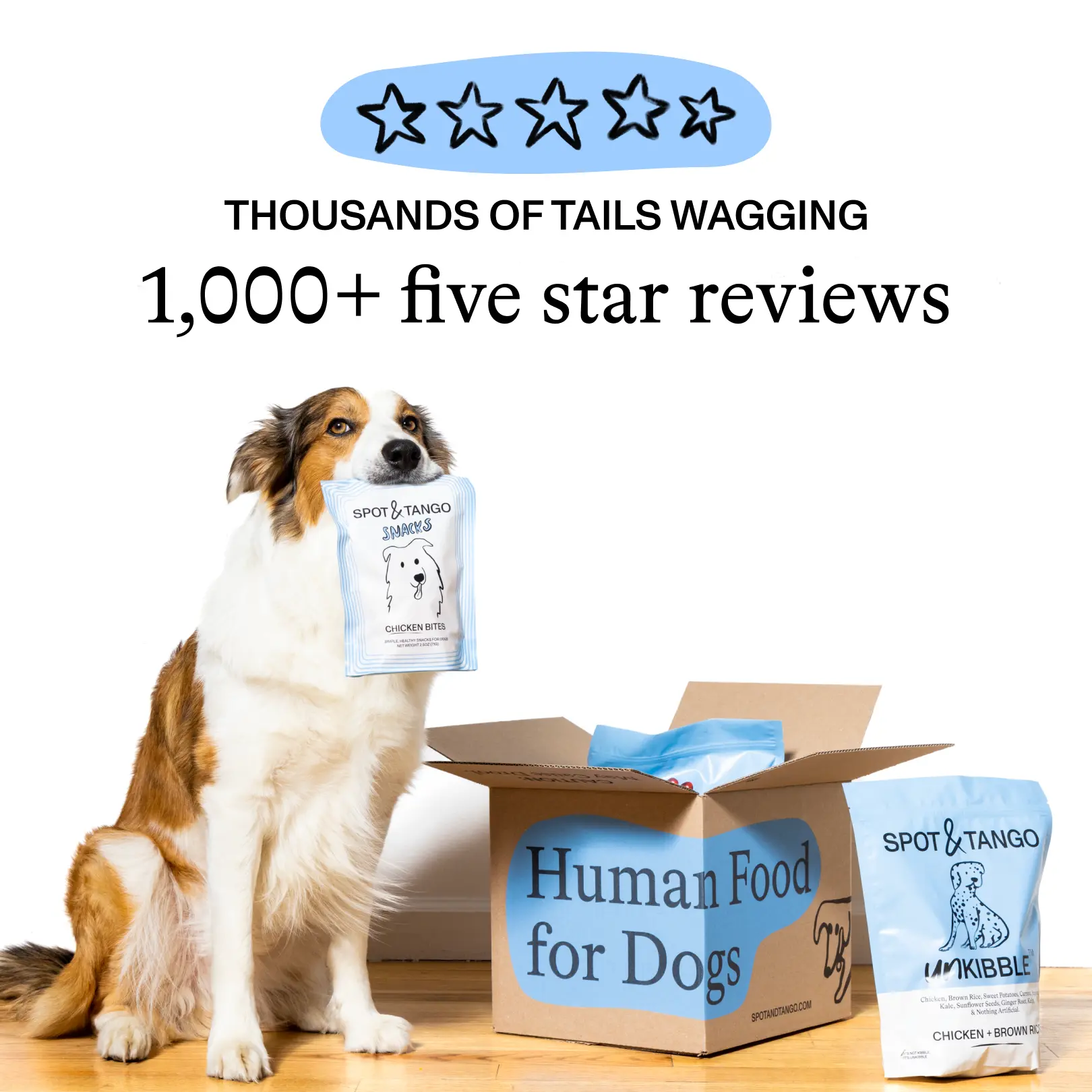 Facebook and Instagram ad by Spot and Tango presenting UnKibble fresh dog food