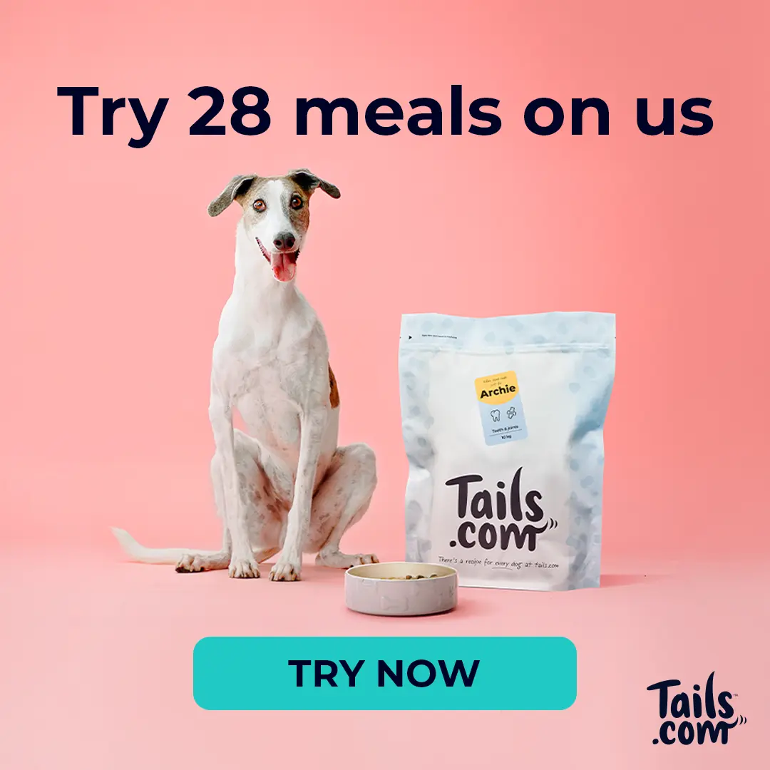 Facebook and Instagram ad by tails.com offering two weeks of free tailor made dog food