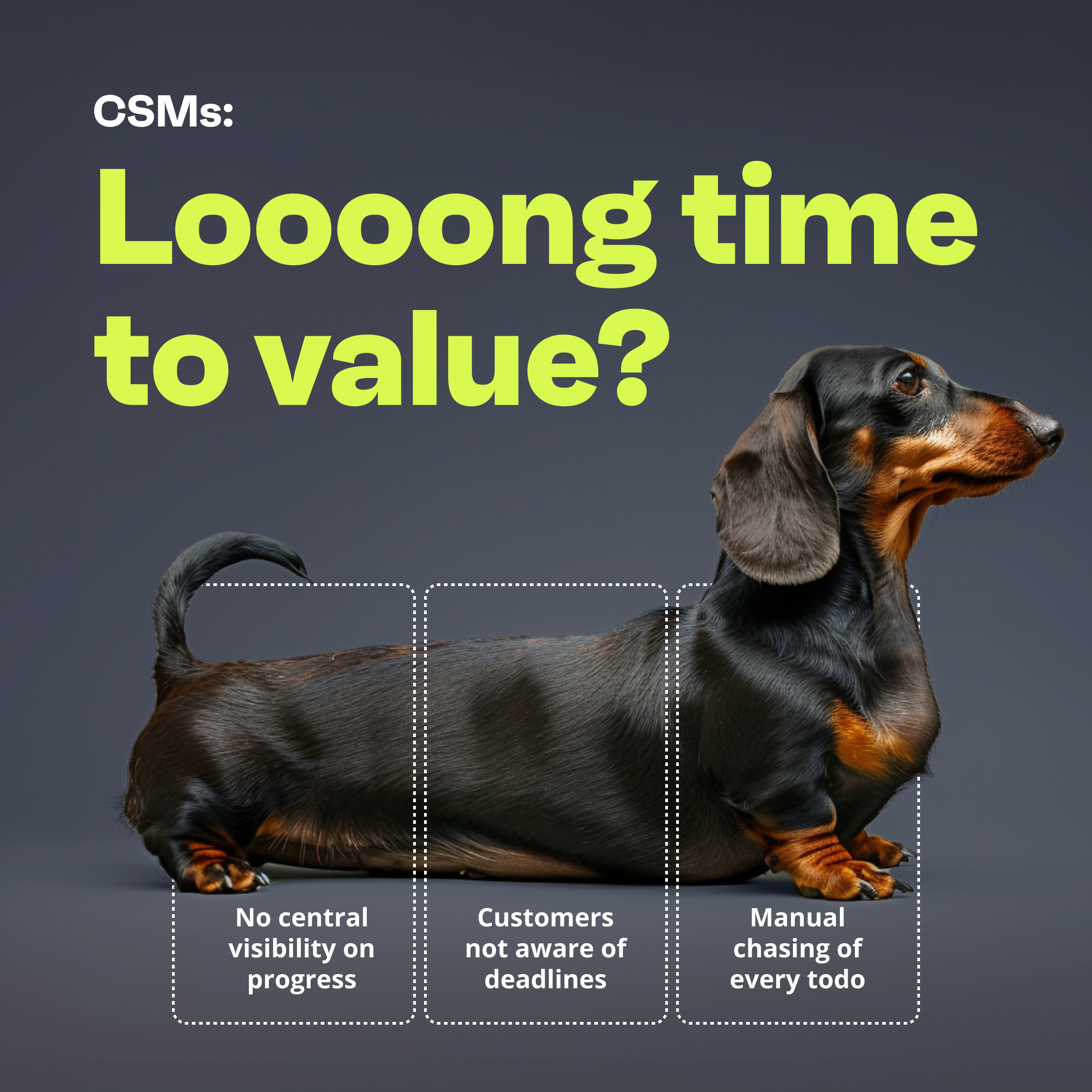 Valuecase ad showing a dachshund dog on a dark background with the headline CSMs loooong time to value